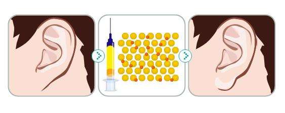 艺美王东告诉您：丰耳垂开运吗？怎么讲？