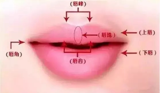 自体脂肪丰唇