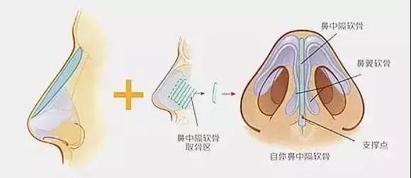 微信图片_20180416105353.jpg