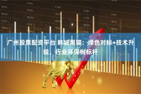广州股票配资平台 韩城黑猫：绿色对标+技术升级，行业环保树标杆