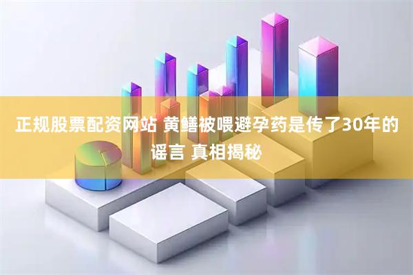 正规股票配资网站 黄鳝被喂避孕药是传了30年的谣言 真相揭秘