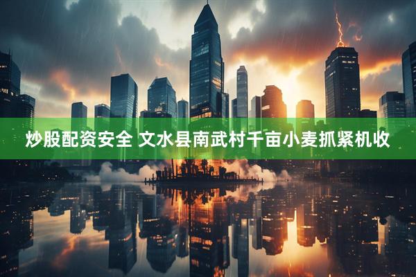 炒股配资安全 文水县南武村千亩小麦抓紧机收